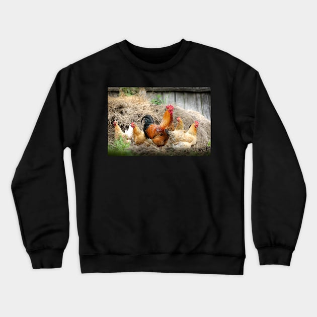 Rooster Crewneck Sweatshirt by kawaii_shop